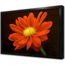 Tablosan Kırmızı Çiçek Çerçeveli Mdf Tablo
