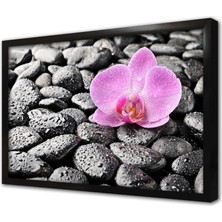 Tablosan Spa Taşları ve Orkide Çerçeveli Mdf Tablo