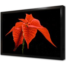 Tablosan Kırmızı Çiçek Çerçeveli Mdf Tablo