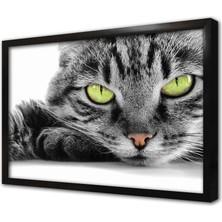 Tablosan Kedi Çerçeveli Mdf Tablo