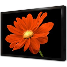 Tablosan Kırmızı Çiçek Çerçeveli Mdf Tablo