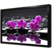 Tablosan Spa Taşları ve Orkide Çerçeveli Mdf Tablo