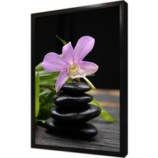 Tablosan Spa Taşları ve Orkide Çerçeveli Mdf Tablo