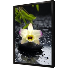 Tablosan Spa Taşları ve Orkide Çerçeveli Mdf Tablo