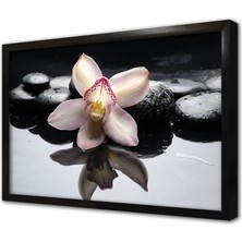 Tablosan Spa Taşları ve Orkide Çerçeveli Mdf Tablo
