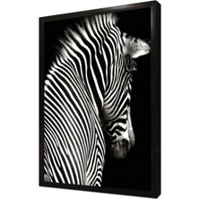 Tablosan Yakın Çekim Zebra Çerçeveli Mdf Tablo