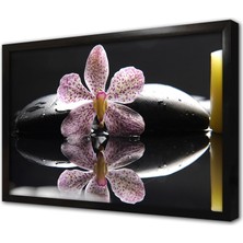 Tablosan Spa Taşları ve Orkide Çerçeveli Mdf Tablo