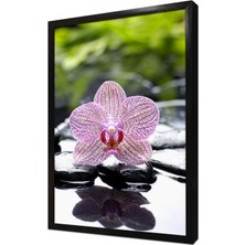 Tablosan Spa Taşları ve Orkide Çerçeveli Mdf Tablo