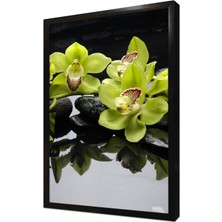 Tablosan Spa Taşları ve Orkide Çerçeveli Mdf Tablo