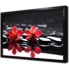 Tablosan Spa Taşları ve Orkide Çerçeveli Mdf Tablo