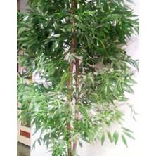 Bambu Yapay Bambu Ağaci 1.60 Metre Boyunda Doğal Gövdeli̇ Bambu Ağaç