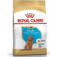 Royal Canin Poodle Junior Yavru Köpek Maması 3 kg