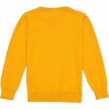 U.S. Polo Assn. Erkek Çocuk Hardal Basic Triko Kazak 50237155-VR072
