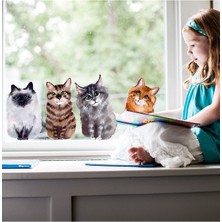 Kt Grup Sevimli Minik Kediler Çocuk Odası Sticker Seti
