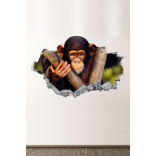 Kt Grup  Maymun 3D Modern Duvar Sticker
