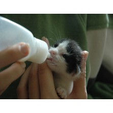 Piithalat Yavru Kedi ve Köpekler  Için Pet Biberon Seti