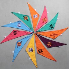 Max Styles Pet Danger Desenli Penye Şal Mor 2