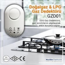 Eds GZD01 Dogalgaz ve Lpg Gaz Dedektörü (12V)