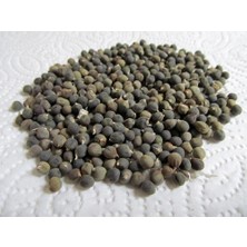 A-Z Tohum Bamya Tohumu 1 kg - Yerli, Şifalık, Yenilebilir, Kireçlenmeler Için