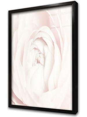 Tablosan Beyaz Gül Çerçeveli Cam Tablo