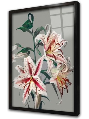 Tablosan Gri Zeminde Çiçek Iıı Çerçeveli Cam Tablo