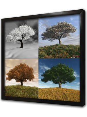 Tablosan Dört Mevsim Ağaç Çerçeveli Mdf Tablo