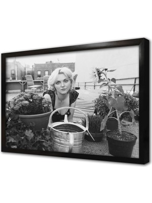 Tablosan Ed Sheeran Çerçeveli Mdf Tablo