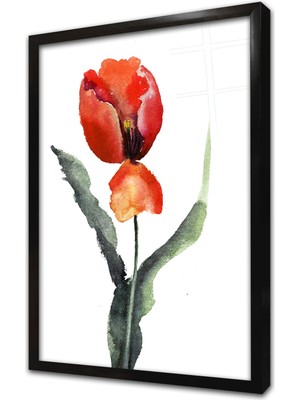 Tablosan Lale Çerçeveli Cam Tablo