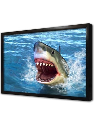 Tablosan Köpek Balığı Çerçeveli Mdf Tablo