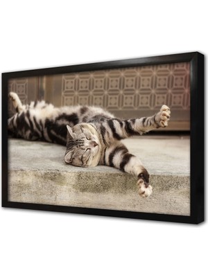 Tablosan Kedi Çerçeveli Mdf Tablo