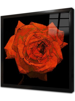 Tablosan Kırmızı Gül Çerçeveli Cam Tablo
