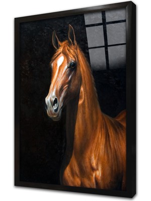 Tablosan Siyah Fonda Kahverengi Yeleli At Çerçeveli Cam Tablo