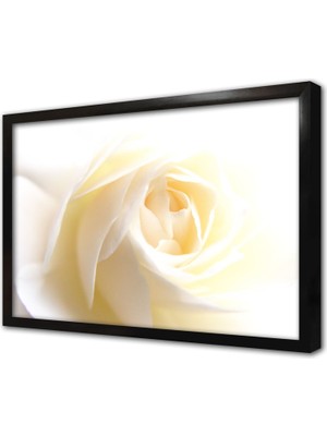 Tablosan Makro Çekim Çerçeveli Mdf Tablo