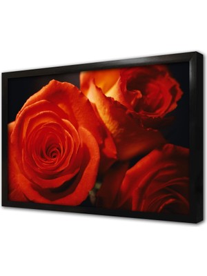 Tablosan Kırmızı Gül Çerçeveli Mdf Tablo