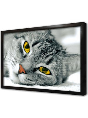 Tablosan Kedi Çerçeveli Mdf Tablo