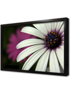 Tablosan Taç Yaprağı Çerçeveli Mdf Tablo