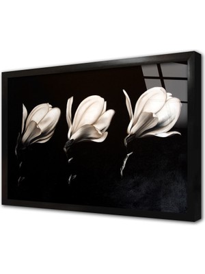 Tablosan Siyah Beyaz Çiçek Çerçeveli Cam Tablo