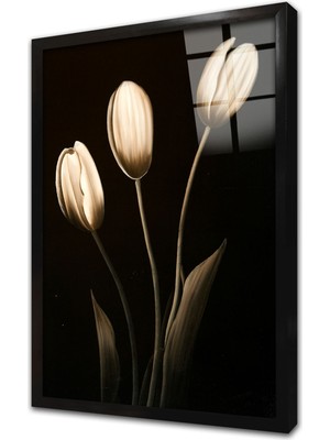 Tablosan Siyah Beyaz Çiçek Çerçeveli Cam Tablo
