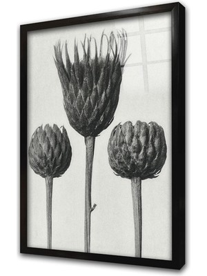 Tablosan Siyah Beyaz Üçlü Çiçek Çerçeveli Cam Tablo