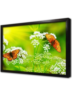 Tablosan Kelebek Çerçeveli Mdf Tablo