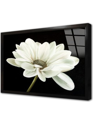Tablosan Siyah Beyaz Çiçek Çerçeveli Cam Tablo