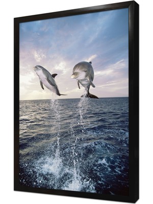 Tablosan Yunus Çerçeveli Mdf Tablo