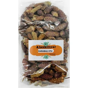 Karabaş Otu