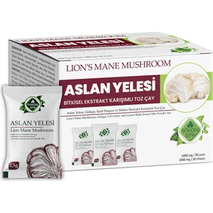 Gökçek Şifa Aslan Yelesi  Ekstrakt Karışımı - 30 Saşe