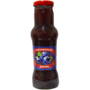 OFLUCA ÇAY Yaban Mersin I(Blueberry) Şurubu  250 cc