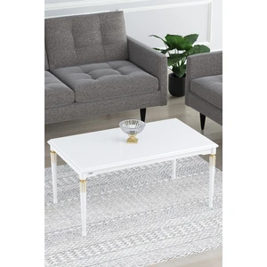 Zeyra Serisi 1.sınıf Mdf ve Lake Boya Avangart Orta Sehpa