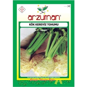 Sebze Kök Kereviz Tohumu