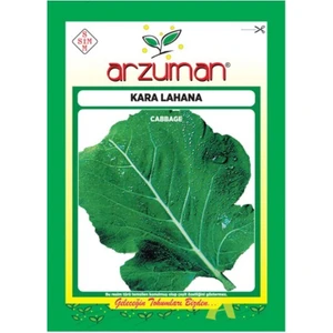 Sebze Kara Lahana Tohumu-2 Adet