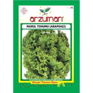 Sebze Kıvırcık Arapsaçı Marul Tohumu