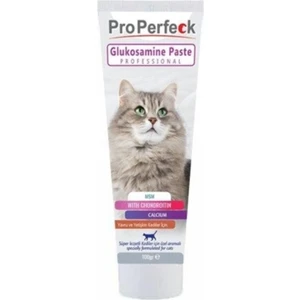 Pro Perfeck Glukosamine Paste